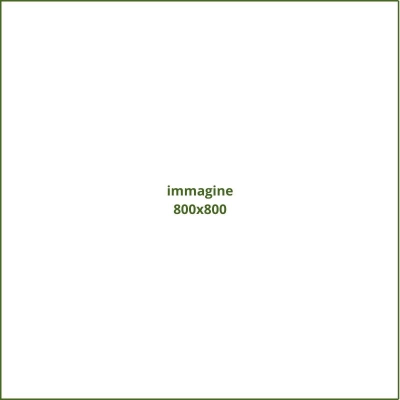 immagine 800x800