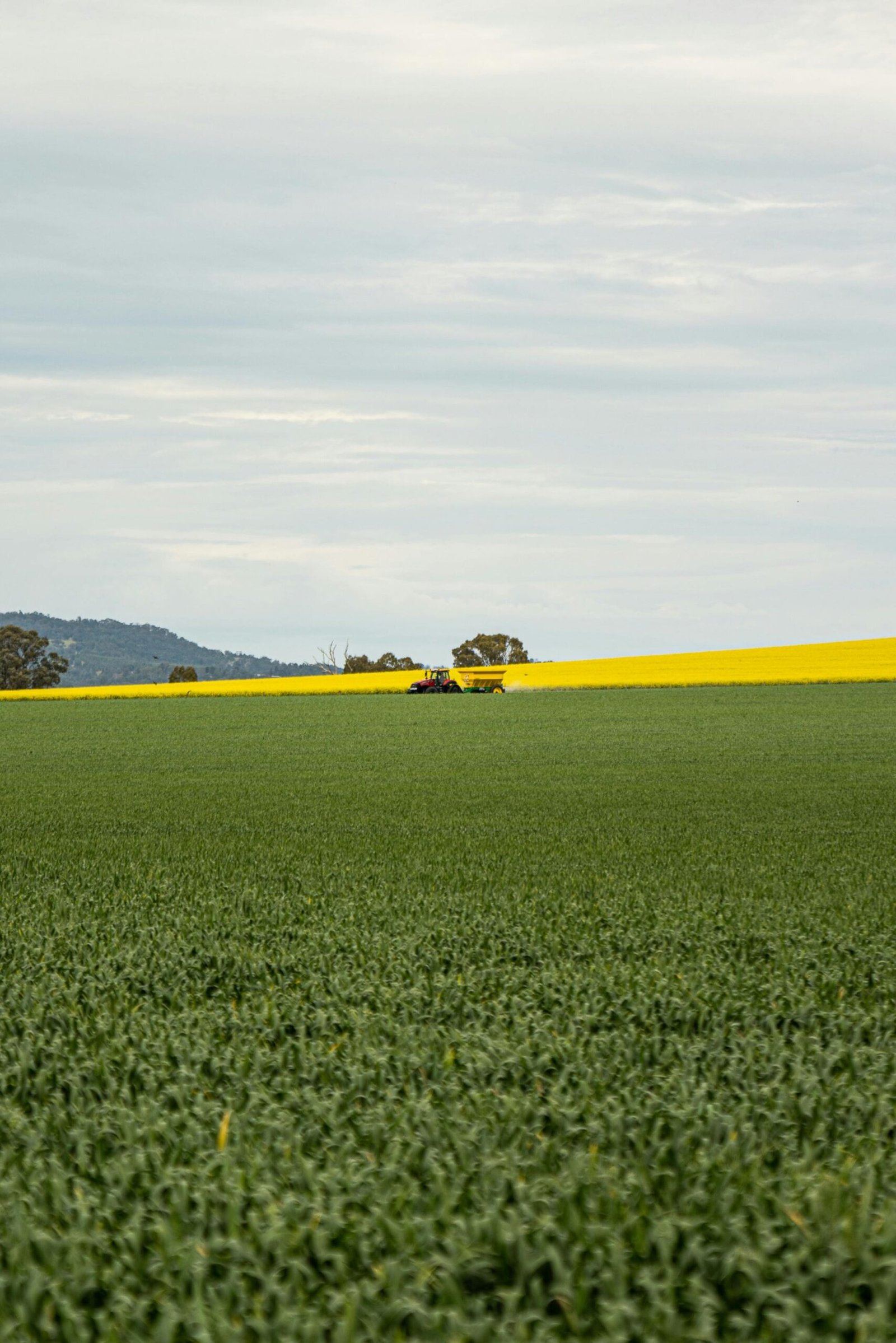 ettari di natura piolanti